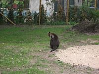 DSCF1615 800x600
