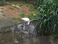 DSCF1636 800x600