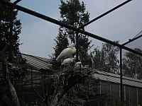 DSCF1638 800x600