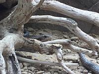 DSCF1640 800x600