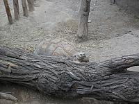 DSCF1647 800x600