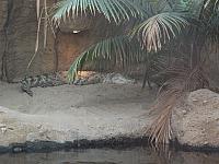 DSCF1648 800x600