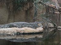 DSCF1649 800x600