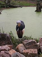 DSCF1672 450x600