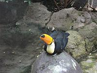 DSCF1713 800x600
