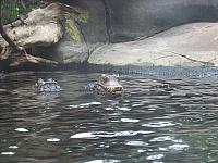 DSCF1728 800x600