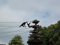 20110613 121 800x600