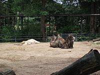 20110613 130 800x600
