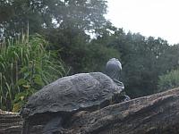 20110613 160 800x600