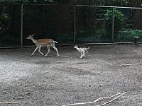 20110613 172 800x600