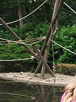 20110613 196 800x600
