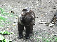 20110613 212 800x600