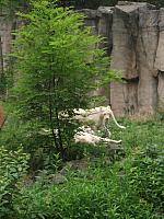 20110613 270 800x600