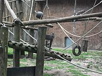 20110613 42 800x600