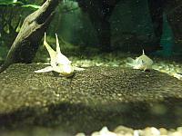 20110613 50 800x600