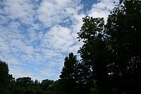 IMG 0201 800x533