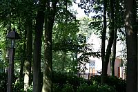 IMG 0279 800x533