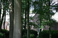 IMG 0280 800x533