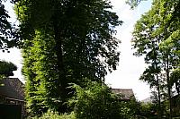 IMG 0283 800x533