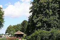 IMG 0302 800x533