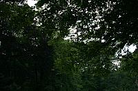 IMG 0323 800x533