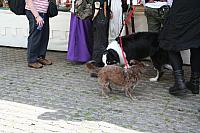 IMG 0349 800x533