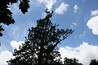 IMG 0376 800x533