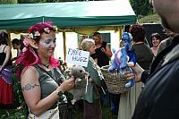 IMG 0452 800x533