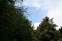 IMG 0470 800x533