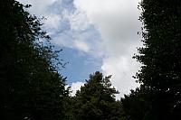 IMG 0471 800x533