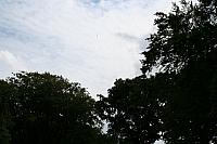 IMG 0472 800x533