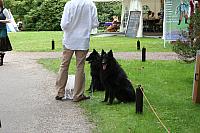 IMG 0476 800x533