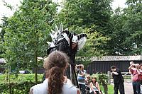 IMG 0506 800x533