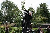 IMG 0508 800x533