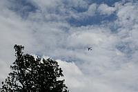 IMG 0515 800x533