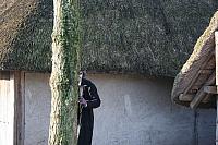 IMG 0009 800x533