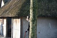 IMG 0010 800x533