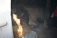 IMG 0033 800x533