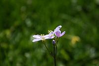 elf 2010 043 800x533