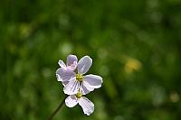 elf 2010 044 800x533