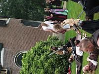 DSCF0170 800x600