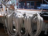 DSCF0292 800x600