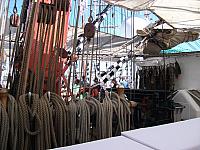 DSCF0293 800x600