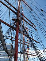 DSCF0316 800x600