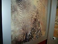 S6000020 800x600