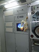 S6000036 450x600