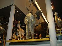 4 08 01 25 Naturalis