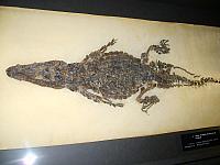 S6000041 800x600