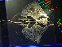 S6000095 800x600