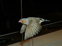 S6000101 800x600